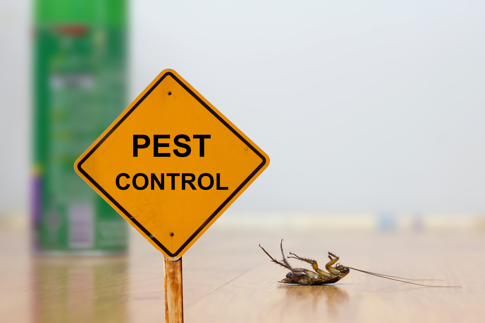 what qualifications do you need for pest control